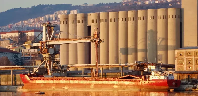 VEGA 1 General Cargo IMO 8516756 photo 7