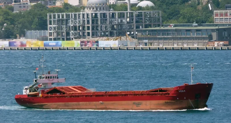 VEGA 1 General Cargo IMO 8516756 photo 9