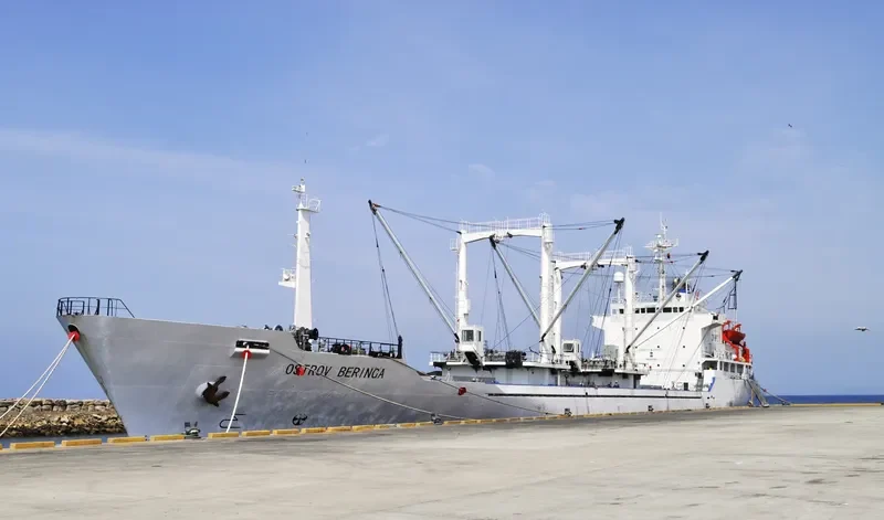 OSTROV BERINGA General Cargo IMO 8517815