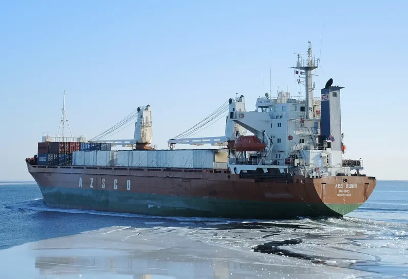 LEV YASHIN General Cargo IMO 8517839 photo 2