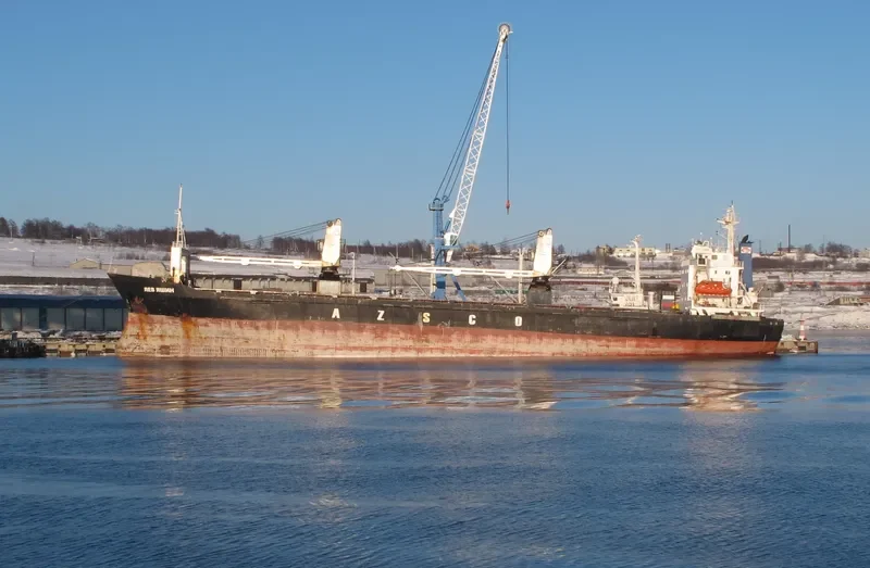 LEV YASHIN General Cargo IMO 8517839 photo 9