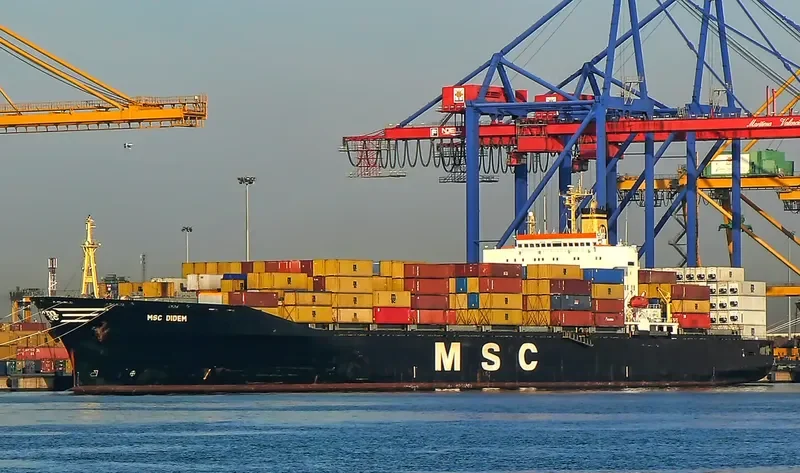 MSC DIDEM Container Ship IMO 8517891
