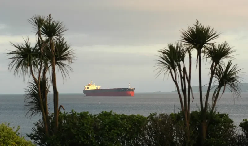 ONEGA Bulk Carrier IMO 8517982 photo 2