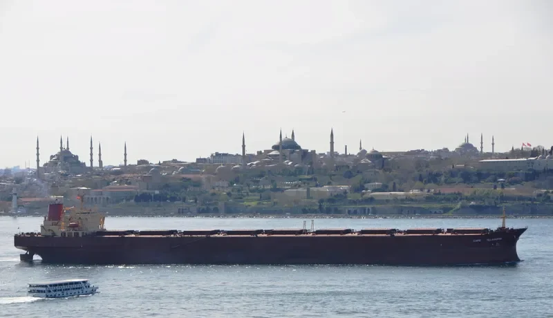 ONEGA Bulk Carrier IMO 8517982 photo 3