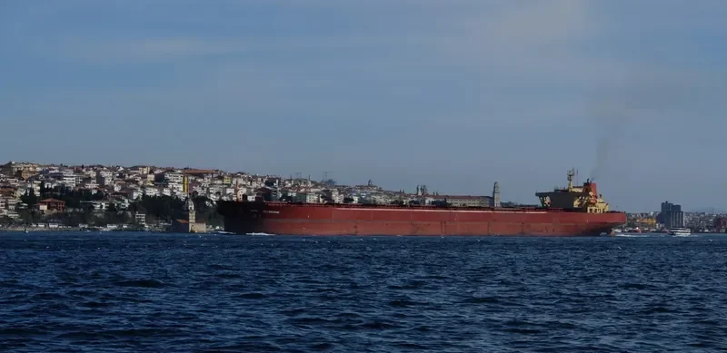 ONEGA Bulk Carrier IMO 8517982 photo 4