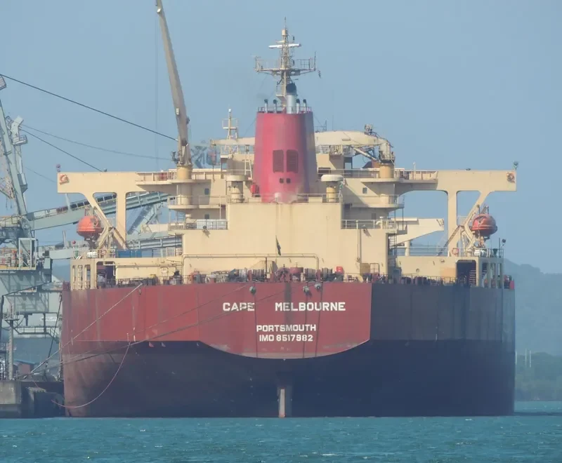 ONEGA Bulk Carrier IMO 8517982 photo 5
