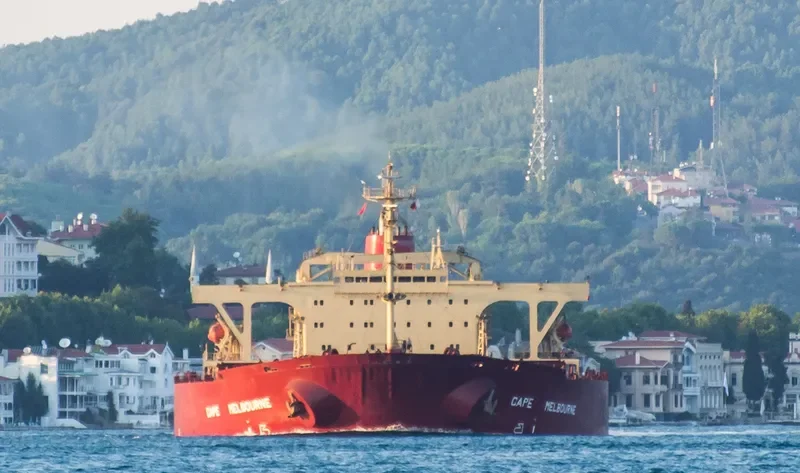 ONEGA Bulk Carrier IMO 8517982 photo 6