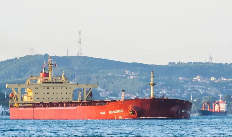 ONEGA Bulk Carrier IMO 8517982 photo 7