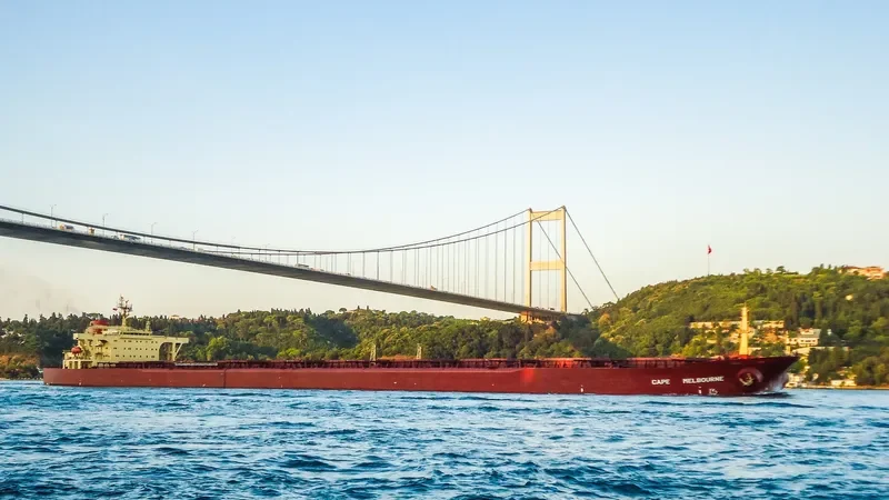 ONEGA Bulk Carrier IMO 8517982 photo 8