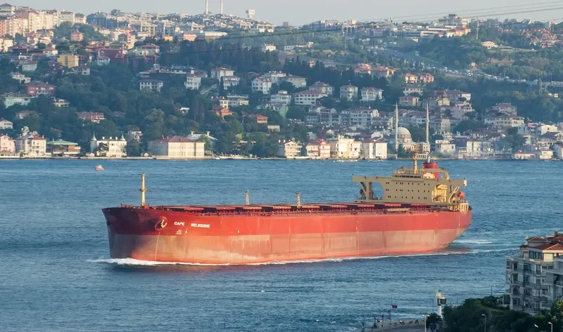 ONEGA Bulk Carrier IMO 8517982 photo 9