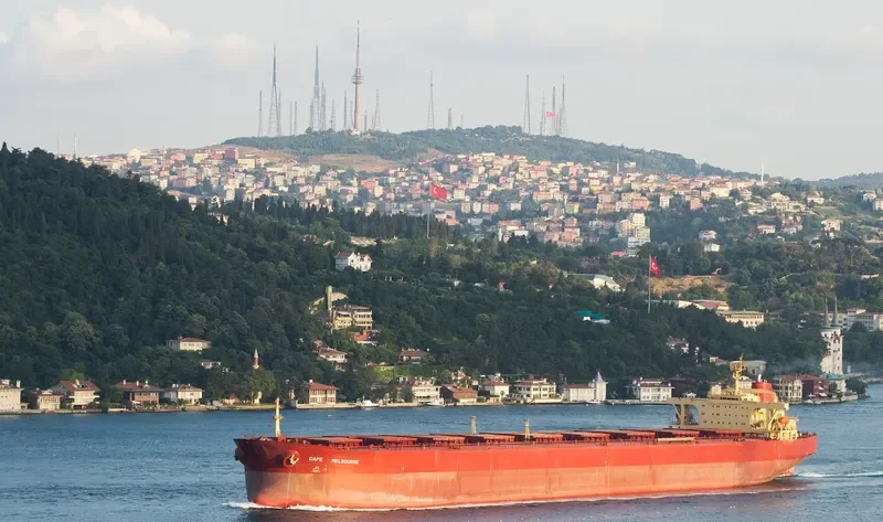 ONEGA Bulk Carrier IMO 8517982 photo 10
