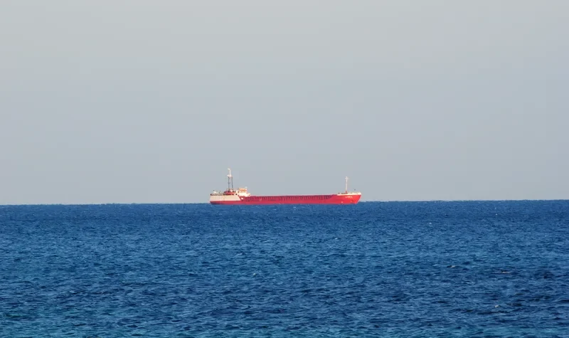 UMUT General Cargo IMO 8518156 photo 9