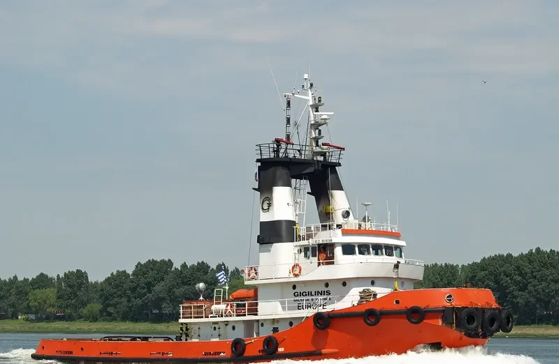 RADUGA EUROPE General Cargo IMO 8518168 photo 8