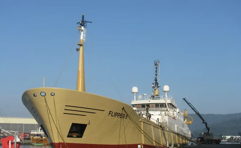 CAVEMA STAR General Cargo IMO 8519071