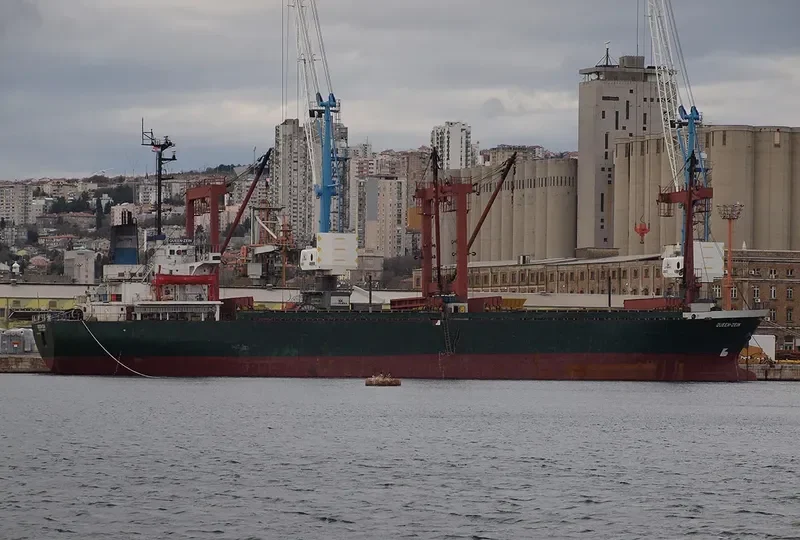 QUEEN ZEIN General Cargo IMO 8519447 photo 3