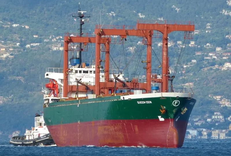 QUEEN ZEIN General Cargo IMO 8519447 photo 6