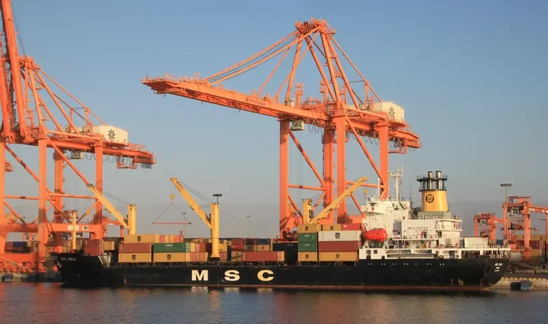 MSC LEILA Container Ship IMO 8520408 photo 3