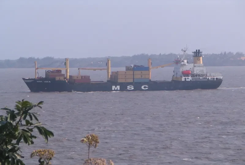 MSC LEILA Container Ship IMO 8520408 photo 5