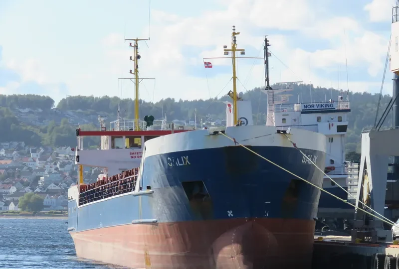 SALIX General Cargo IMO 8520446 photo 3