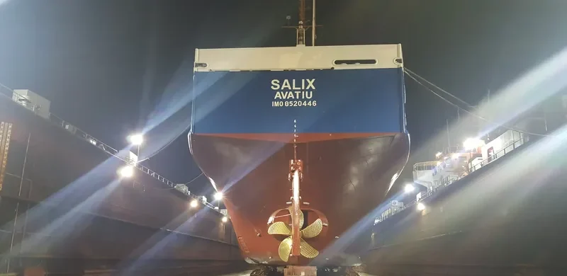 SALIX General Cargo IMO 8520446 photo 5
