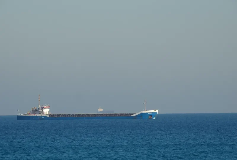 SALIX General Cargo IMO 8520446 photo 7