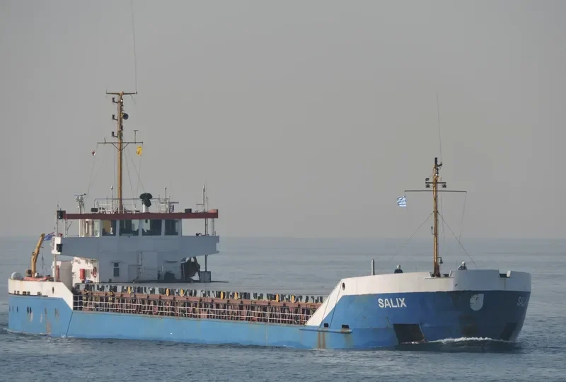 SALIX General Cargo IMO 8520446 photo 8
