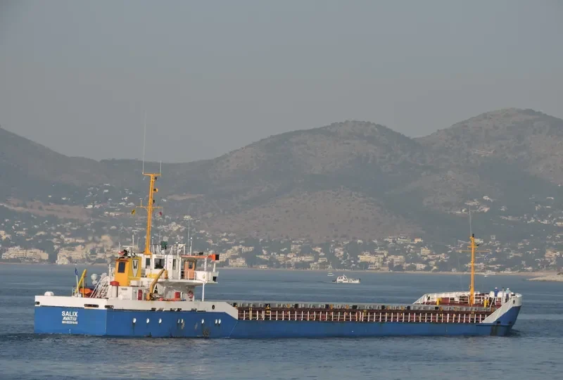 SALIX General Cargo IMO 8520446 photo 10