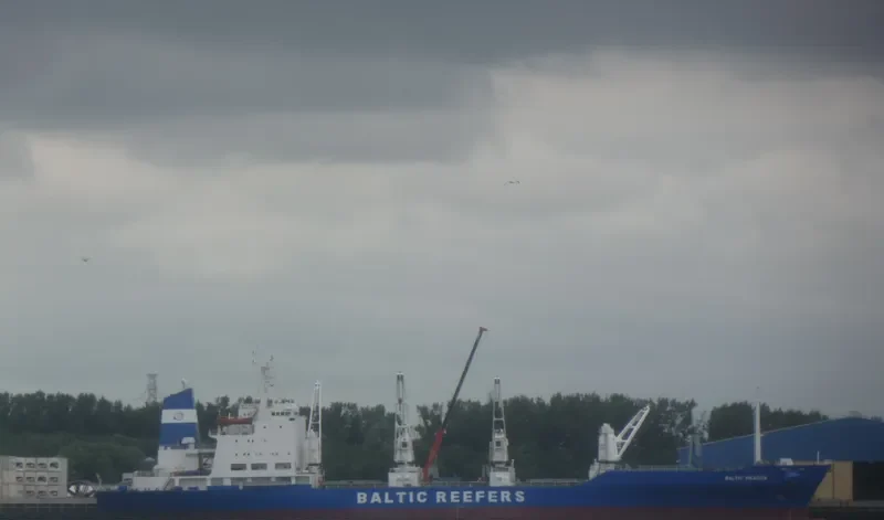 BALTIC MEADOW General Cargo IMO 8520501 photo 2