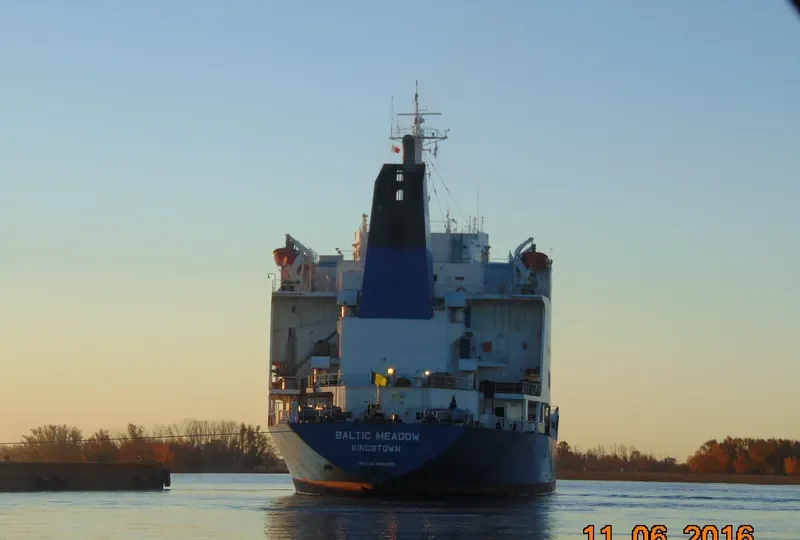 BALTIC MEADOW General Cargo IMO 8520501 photo 5