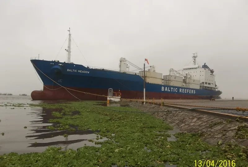 BALTIC MEADOW General Cargo IMO 8520501 photo 6