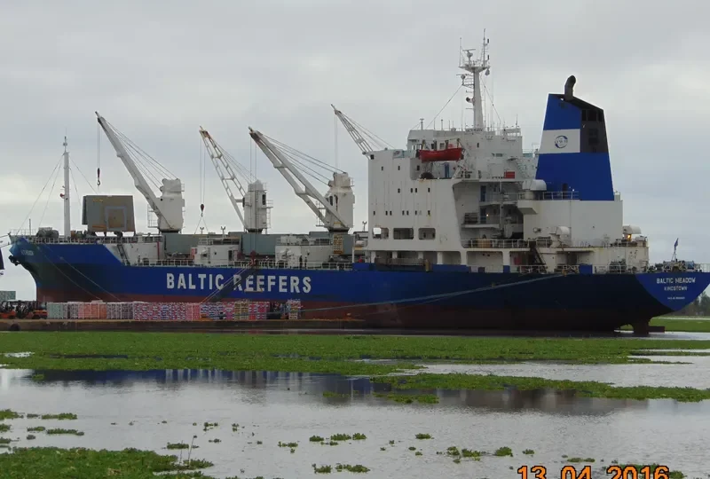 BALTIC MEADOW General Cargo IMO 8520501 photo 7