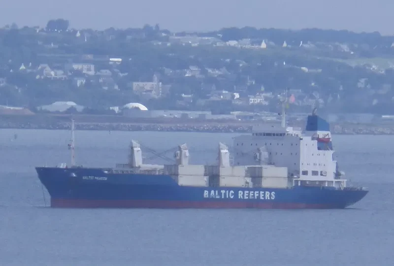 BALTIC MEADOW General Cargo IMO 8520501 photo 8