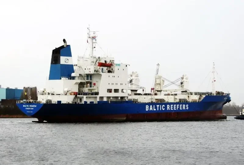 BALTIC MEADOW General Cargo IMO 8520501 photo 9