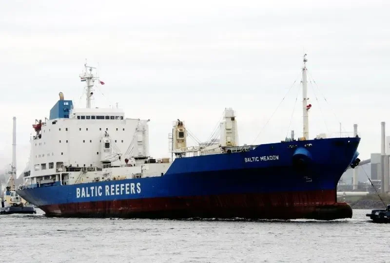 BALTIC MEADOW General Cargo IMO 8520501 photo 10
