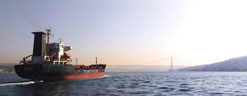 AMADORE Bulk Carrier IMO 8520824 photo 5