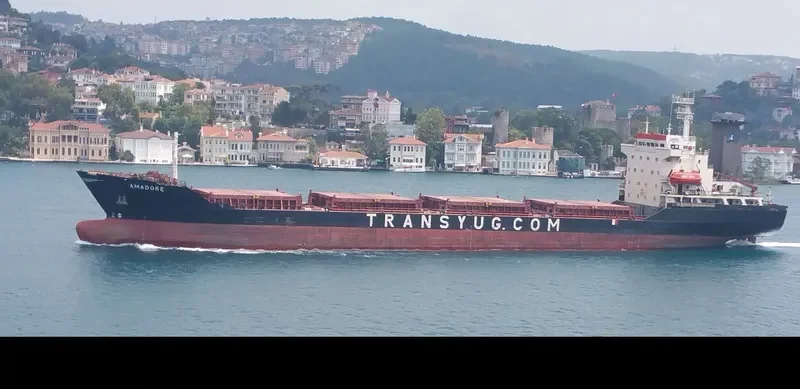 AMADORE Bulk Carrier IMO 8520824 photo 8