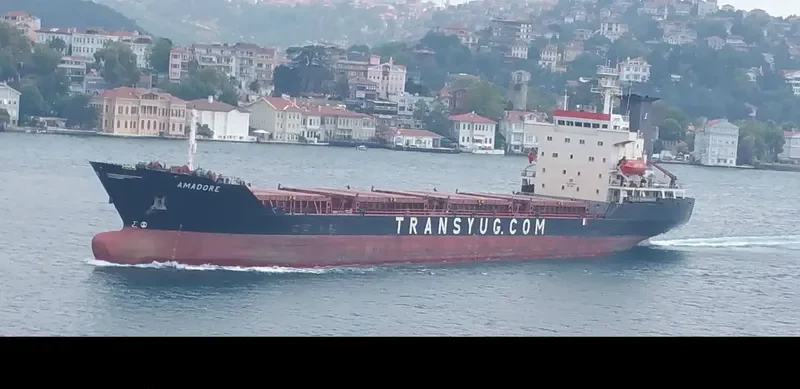 AMADORE Bulk Carrier IMO 8520824 photo 9