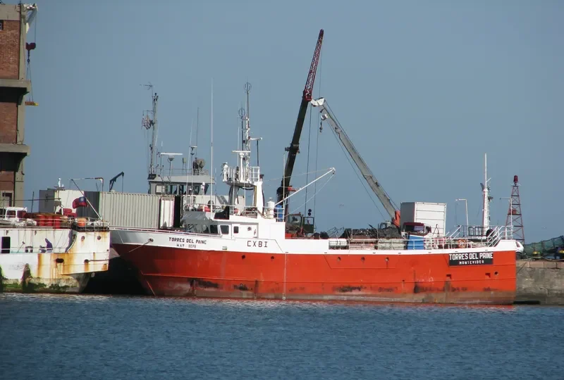 TORRES DEL PAINE General Cargo IMO 8520848