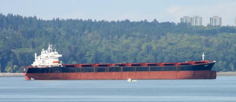 DIAS Bulk Carrier IMO 8521177