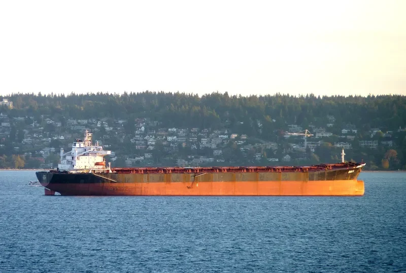 DIAS Bulk Carrier IMO 8521177 photo 2