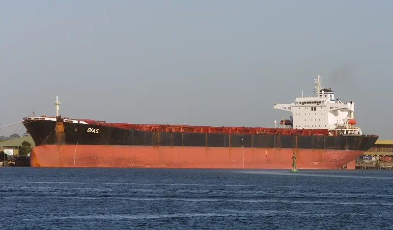 DIAS Bulk Carrier IMO 8521177 photo 3