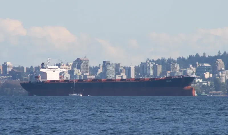 DIAS Bulk Carrier IMO 8521177 photo 4