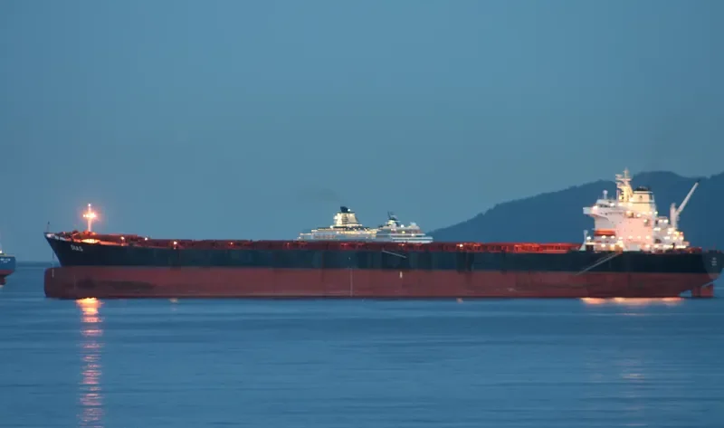 DIAS Bulk Carrier IMO 8521177 photo 5