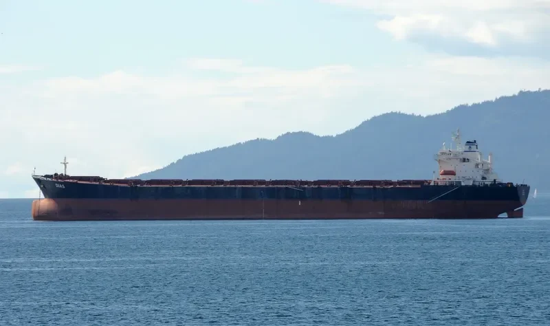 DIAS Bulk Carrier IMO 8521177 photo 6