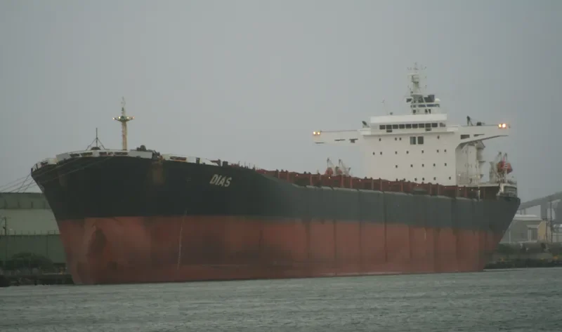 DIAS Bulk Carrier IMO 8521177 photo 8