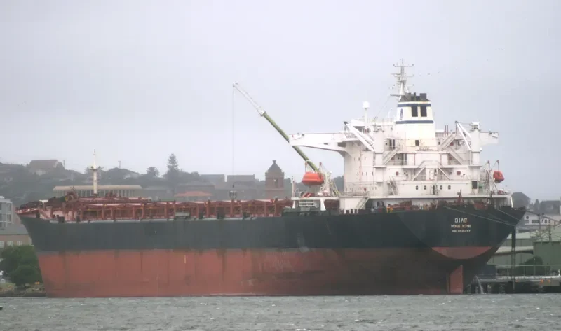 DIAS Bulk Carrier IMO 8521177 photo 10
