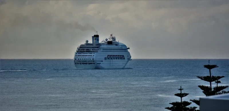 KARNIKA Passenger Ship IMO 8521220 photo 2