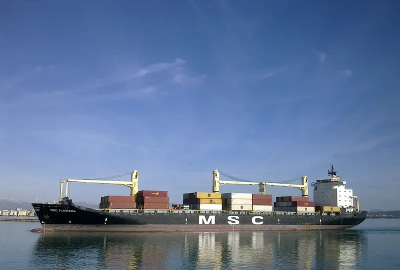 MSC FLORIANA Container Ship IMO 8521397 photo 3