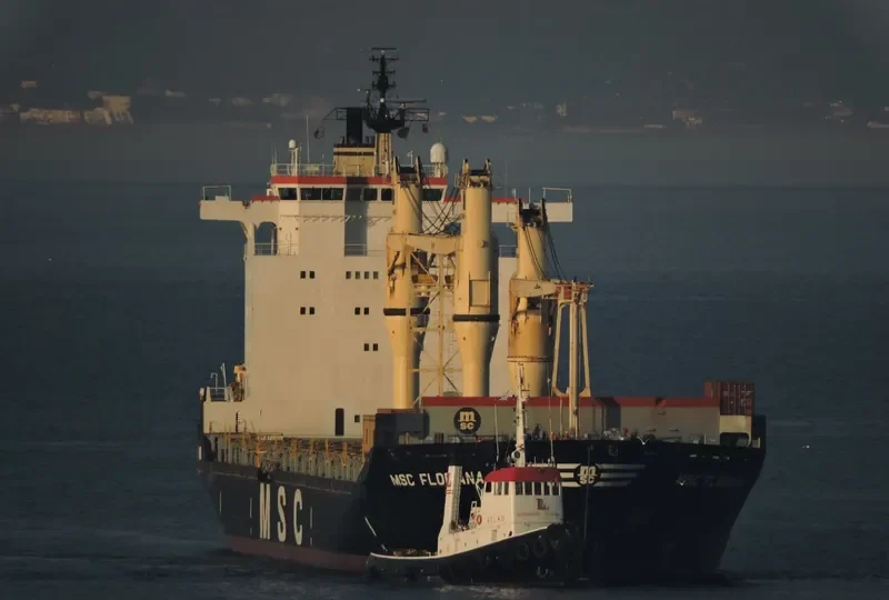 MSC FLORIANA Container Ship IMO 8521397 photo 5
