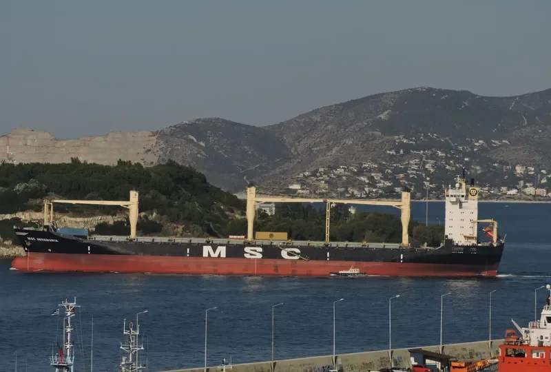 MSC ANNAMARIA Container Ship IMO 8521402 photo 3